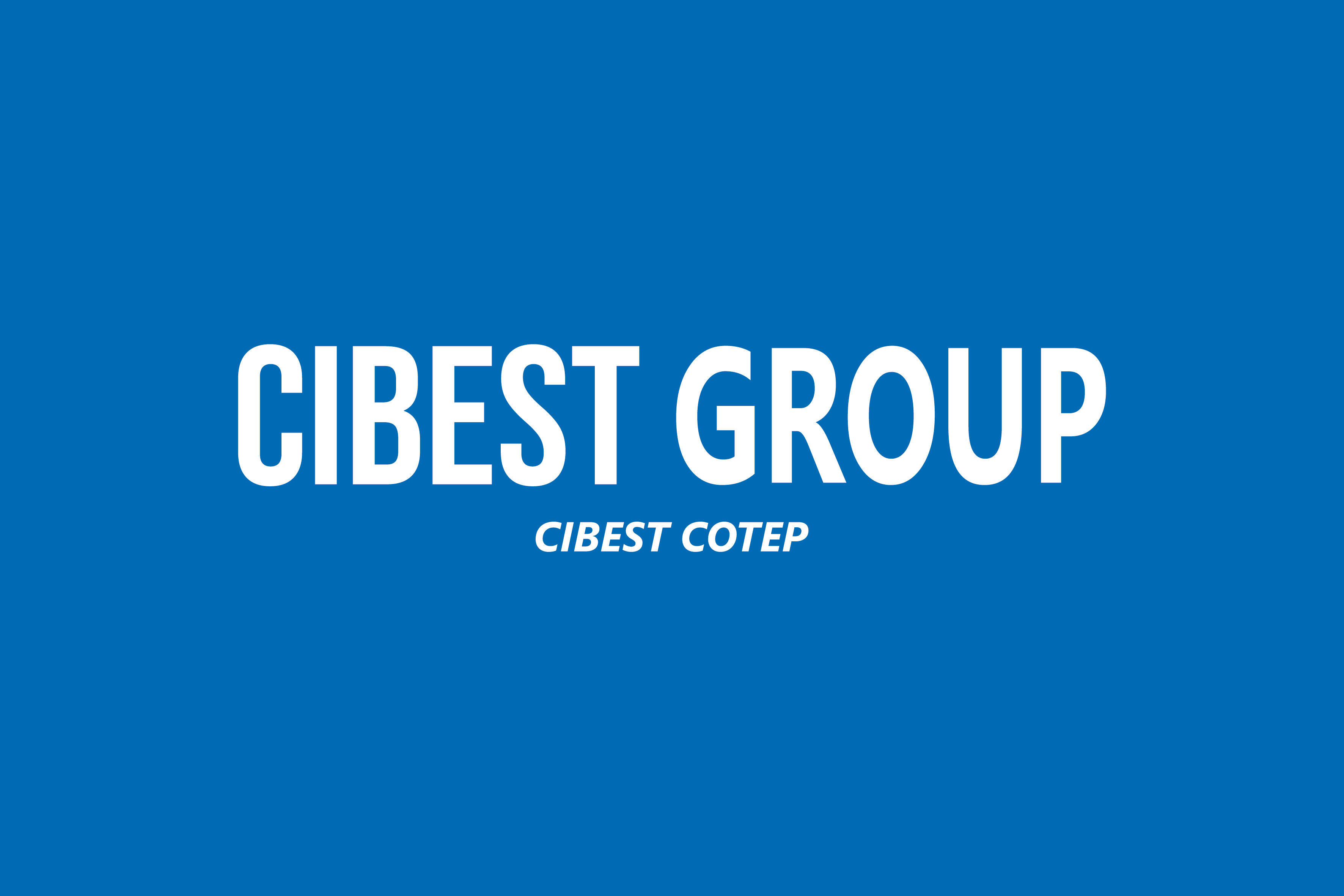 CIBEST GROUP